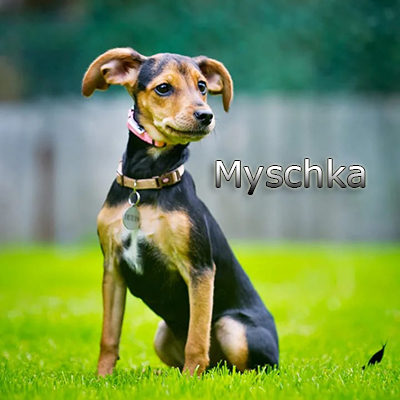 Myschka_082019-(27)web