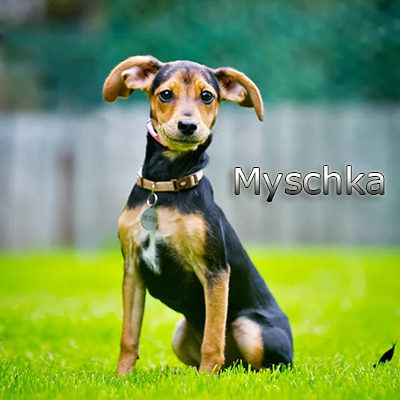 Myschka_082019-(2)web