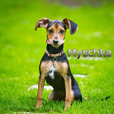 Myschka_082019-(6)web