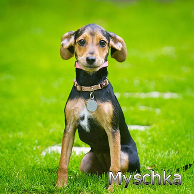 Myschka_082019-(9)web