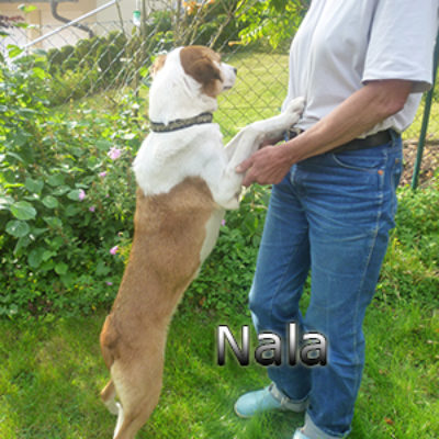 Nala_Update_18102019-(13)web