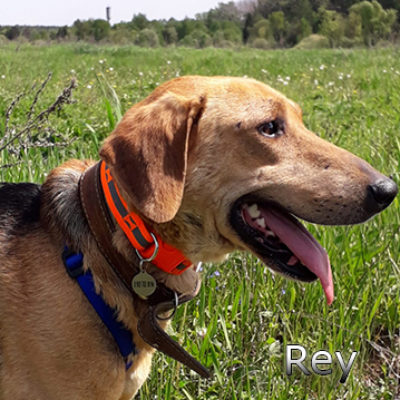 Rey_23052019-(7)web