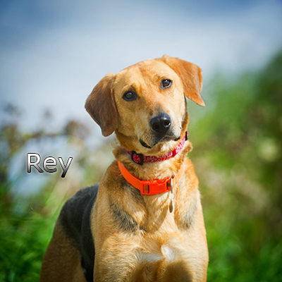 Rey_Update_260819-(1)web