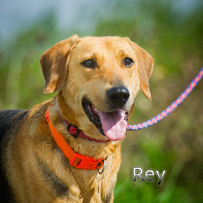 Rey_Update_260819-(5)web