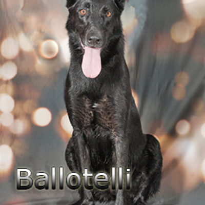 Ballotelli-(2)web