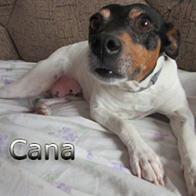 Cana-(8)web