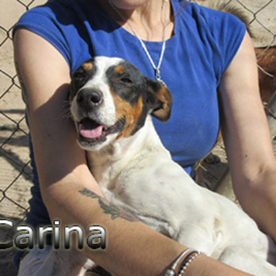 Carina-(4)web