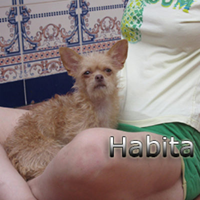 Habita_web (4)