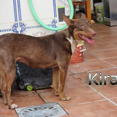 Kira-(4)web