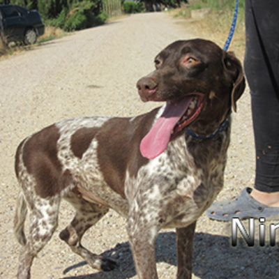 Nina-(1)web
