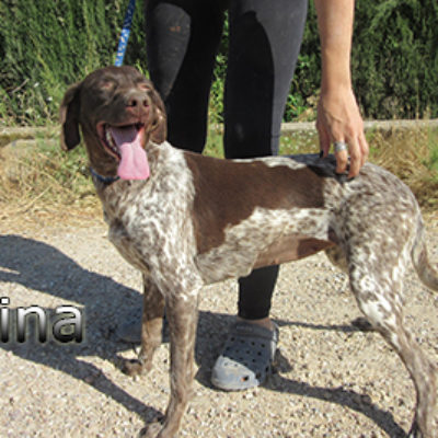Nina-(3)web