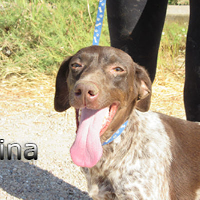 Nina-(4)web