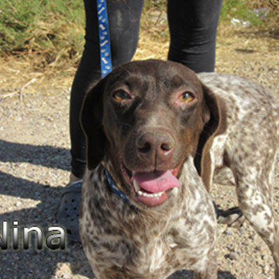 Nina-(5)web