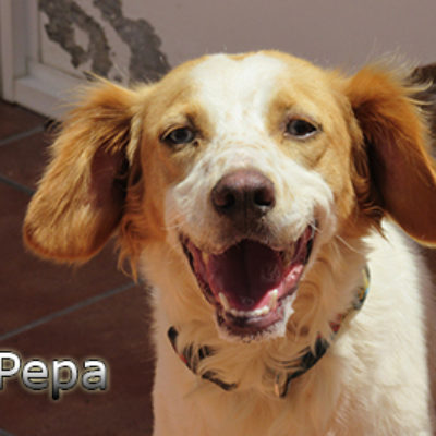 Pepa-(1)web