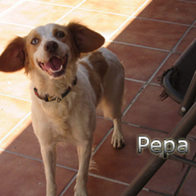 Pepa-(2)web