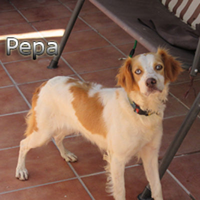 Pepa-(4)web