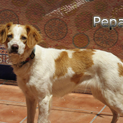 Pepa-(5)web