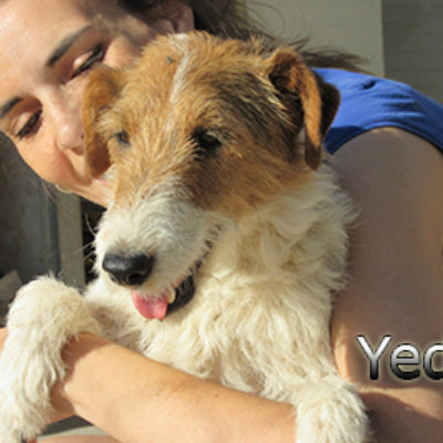 Yedra-(9)web