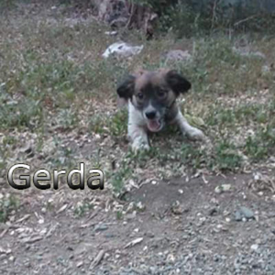 Gerda2-(7)web