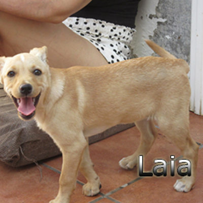 Laia-(7)web