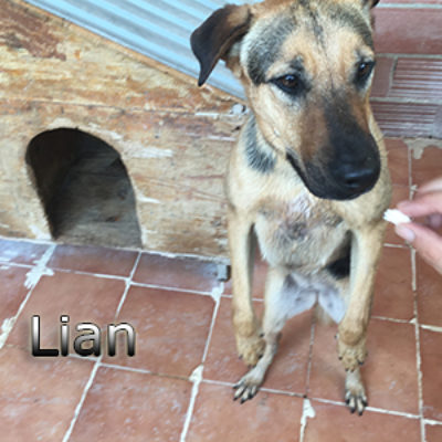 Lian-(5)eb