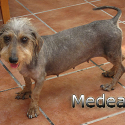 Medea-(2)web