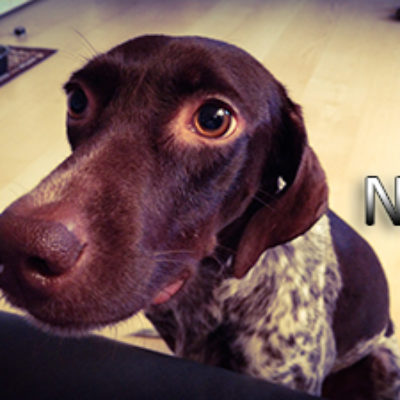 Nina_Update_31102019-(5)web