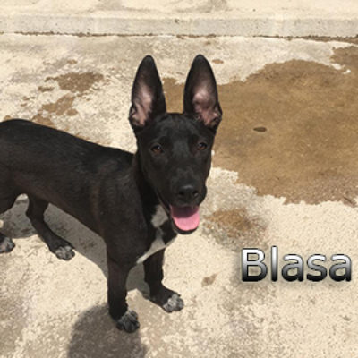 Blasa-(1)web