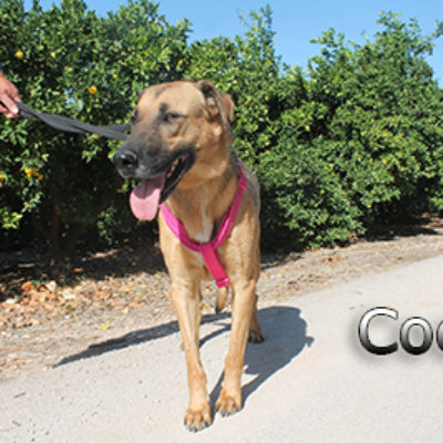 Coco_Update_20102019-(3)web