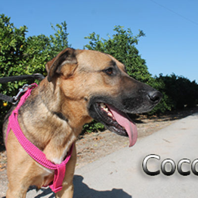 Coco_Update_20102019-(5)web
