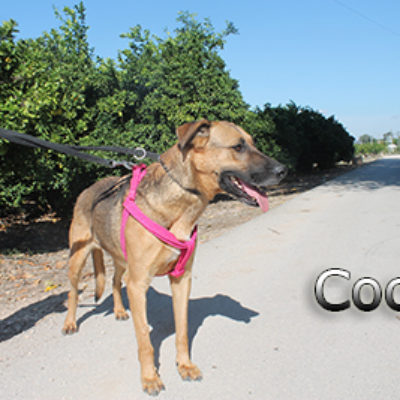 Coco_Update_20102019-(6)web