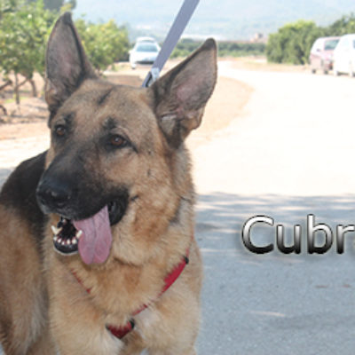 Cubra-(9)web