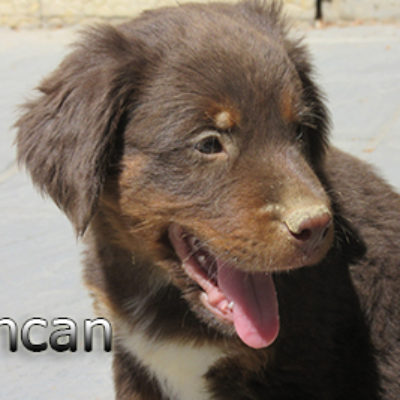 Duncan-(11)web