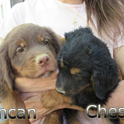 Duncan-(1)web