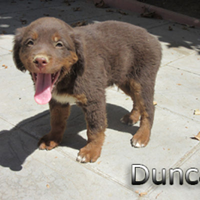 Duncan-(6)web