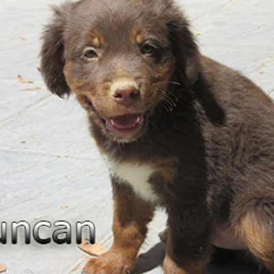 Duncan-(7)web