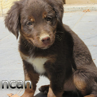 Duncan-(9)WEB