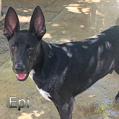 Epi_Update-(5)web
