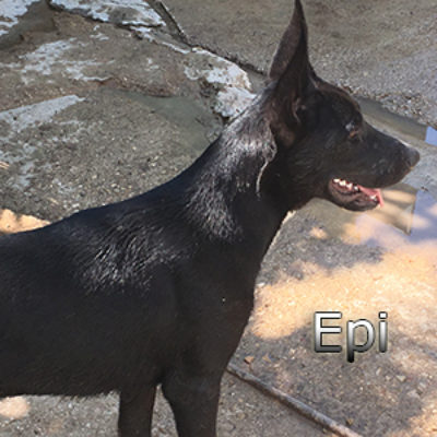 Epi_Update-(6)web