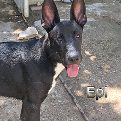Epi_Update-(7)web