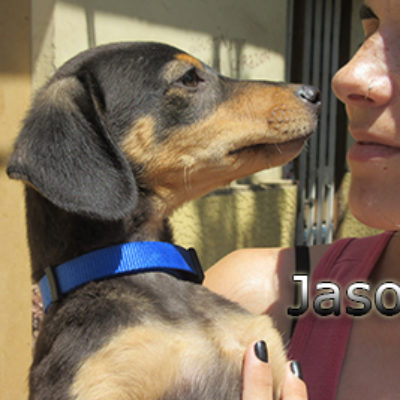 Jason-(12)web