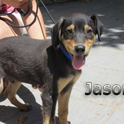 Jason-(6)web