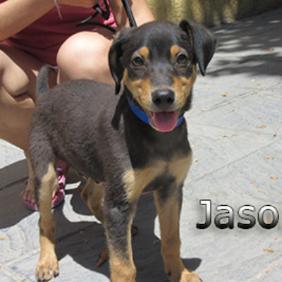 Jason-(7)web