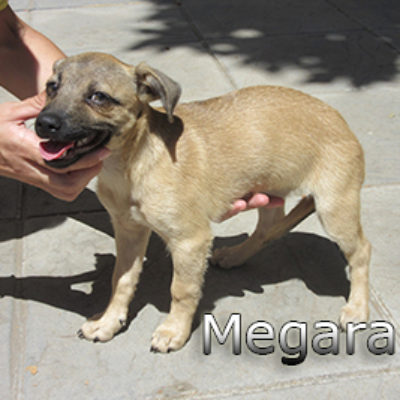 Megara-(11)web