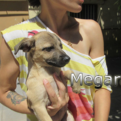 Megara-(2)web