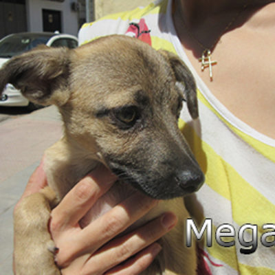 Megara-(3)web