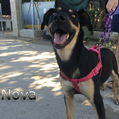 Nova-(3)web