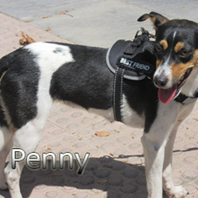 Penny-(11)web