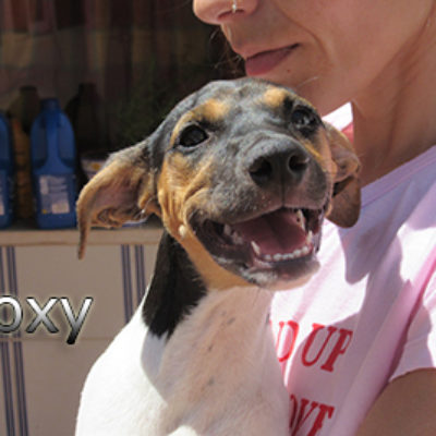 Roxy-(12)web