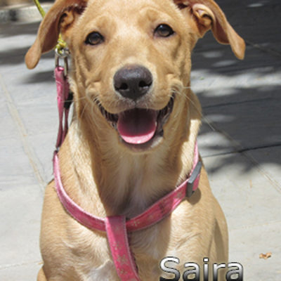 Saira-(12)web